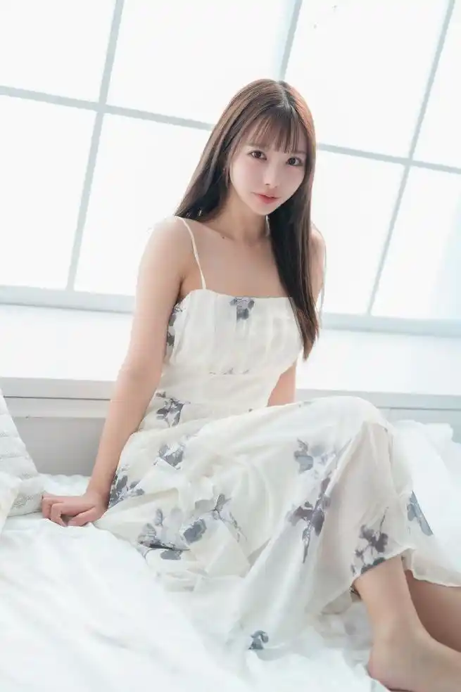 豺狼的日子
